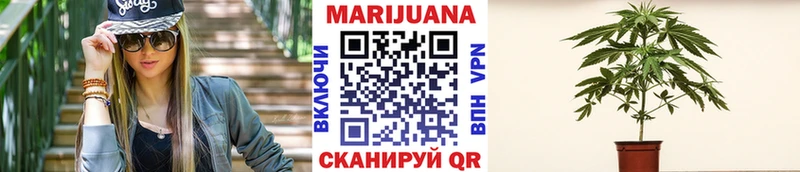 Купить наркотики Салехард Alpha PVP  Меф мяу мяу  ГАШ  АМФ  MEGA сайт  Каннабис 