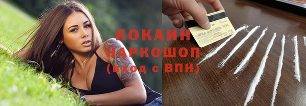 прущие грибы Арсеньев