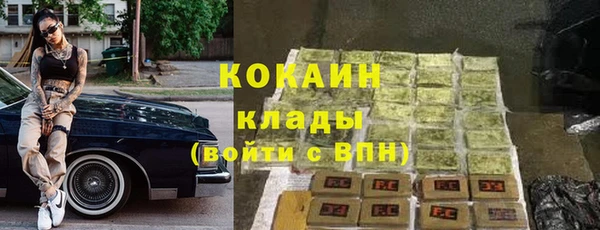 прущие грибы Арсеньев