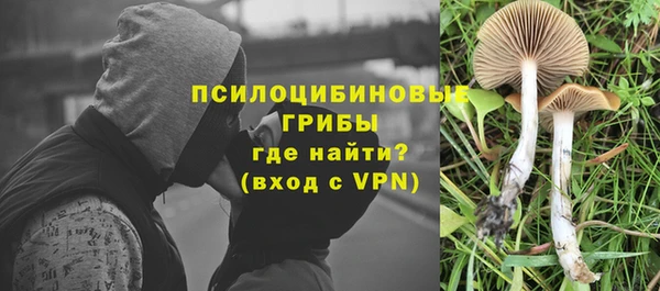 марки nbome Аркадак