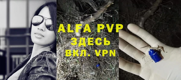 прущие грибы Арсеньев