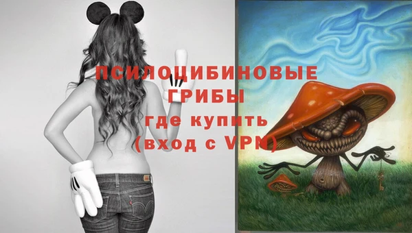 марки nbome Аркадак