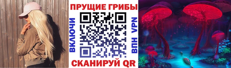 где купить   Салехард  Псилоцибиновые грибы Cubensis 